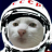 Catmo